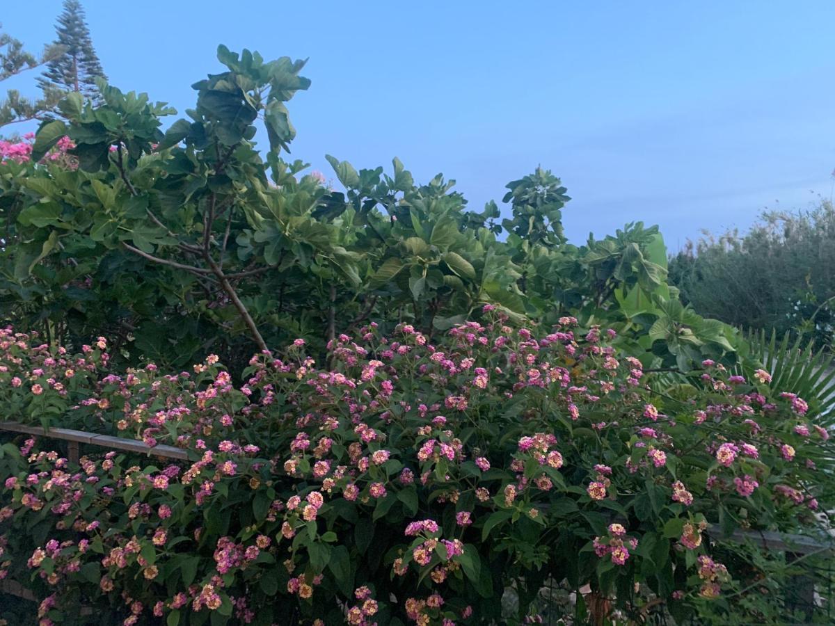 Villa Morgana Menfi Luaran gambar
